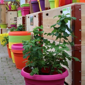 Kunstoff Gefässe für Urban Gardening